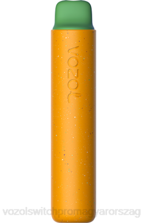VOZOL Vape Rendelés - VOZOL STAR 2000 dzsungel madár Z800156