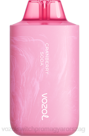 VOZOL Vélemények - VOZOL STAR 6000/8000 v2 áfonya szóda Z80058