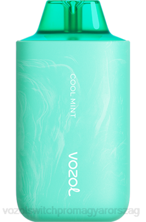 VOZOL Vape Vélemények - VOZOL STAR 6000/8000 v2 hűvös menta Z80057