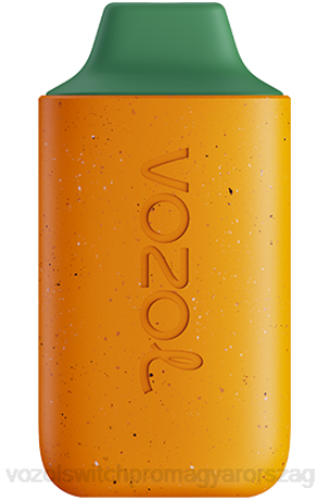 VOZOL Eldobható Cigaretta - VOZOL STAR 6000 kiwi guava maracuja Z800115