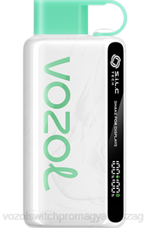 VOZOL Bar Magyarország - VOZOL STAR 9000/12000 görögdinnye rágógumi Z80034