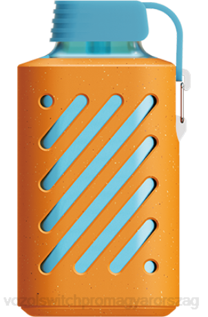 VOZOL Eldobható Cigaretta - VOZOL GEAR 10000 málna mandarin Z800305