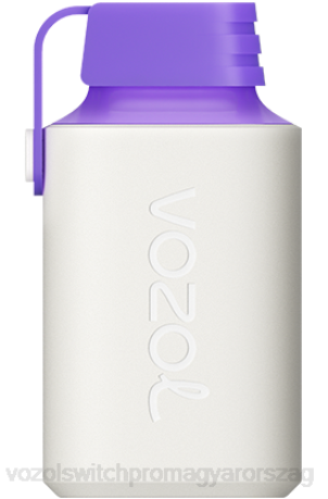 VOZOL Legális - VOZOL GEAR 600 erdei bogyó energia Z800350