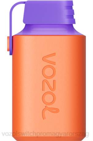VOZOL Legális - VOZOL GEAR 600 szederjég Z800360