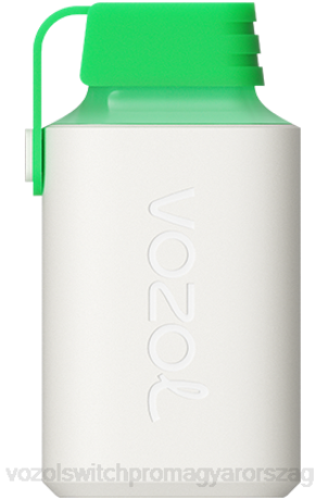 VOZOL Nikotin Mentes - VOZOL GEAR 600 görögdinnye jég Z800359