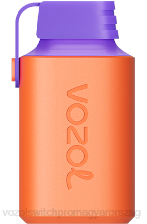 VOZOL Vélemények - VOZOL GEAR 600 áfonyás szőlőjég Z800348