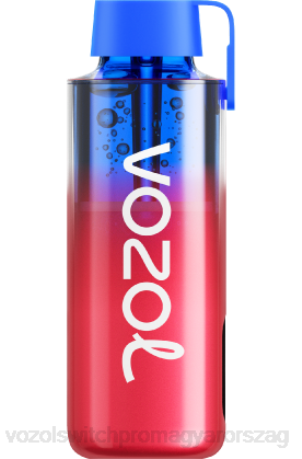 VOZOL Vape Magyarország - VOZOL NEON 10000 áfonyás jég Z800243