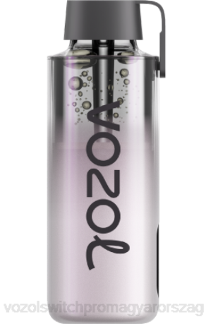VOZOL Vape Magyarország - VOZOL NEON 10000 hűvös menta Z800233