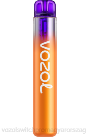VOZOL Eldobható Cigaretta - VOZOL NEON 800 citrom maracuja Z800275