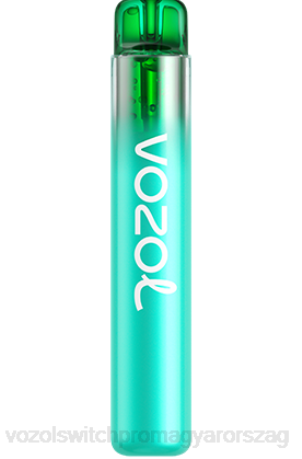 VOZOL Vape Rendelés - VOZOL NEON 800 áfonyás savanyú málna Z800246