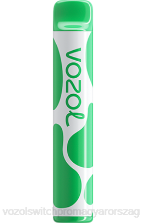 VOZOL Bar Magyarország - VOZOL JOYGO 600 görögdinnye rágógumi Z800394