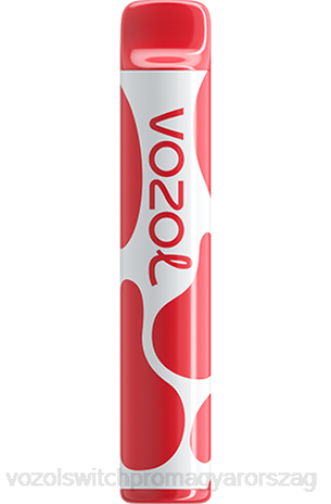 VOZOL Eldobható Cigaretta - VOZOL JOYGO 600 licsi guava görögdinnye Z800385