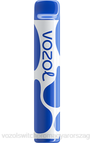 VOZOL Legális - VOZOL JOYGO 600 áfonya vihar Z800390