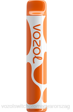 VOZOL Nikotin Mentes - VOZOL JOYGO 600 kávé Z800379