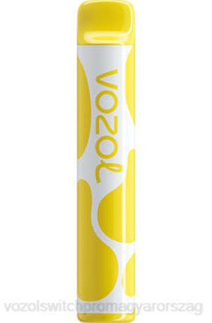 VOZOL Vape Rendelés - VOZOL JOYGO 600 banán jég Z800376